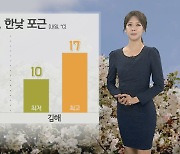 [날씨] 내일 포근, 충청 이남 비…짙은 안개 유의