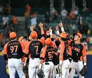 기분 좋은 승리 세리머니 펼치는 CPBL 퉁이 라이온스 [사진]