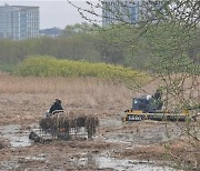 농어촌公 전주완주임실지사, 혁신도시 기지제 수초제거 작업 진행