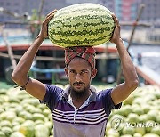 BANGLADESH AGRICULTURE WATERMELON