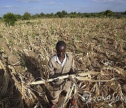 Zimbabwe Drought Disaster