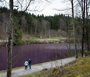 햇볕 뜨거우면 호수로 달려가는 사람들…보랏빛 호수, 독일서 화제