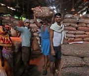 총선 흔드는 인도 양파…방글라데시 등 5개국엔 수출 허용