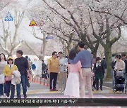 [문예현장] 2024 경주 대릉원 돌담길 벚꽃축제