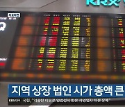 대구·경북 지역 상장 법인 시가 총액 큰 폭 감소