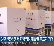 양구·양양·동해 지방의원 재보궐 투표지 최대 4장