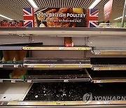 BRITAIN POST BREXIT FOOD IMPORT CHARGES