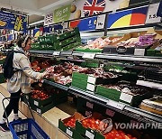 BRITAIN POST BREXIT FOOD IMPORT CHARGES