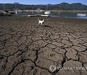 Mexico Climate Elections