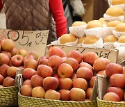 정부, 사과 등 10대 품목 주산지에 역대 최대 농번기 인력 지원