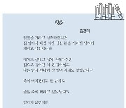 [시인의 詩 읽기] 벚꽃 피는 소리가 사람이 오는 소리 같습니다