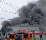 대구공항 인근 식품 공장에 불...운항엔 지장 없어