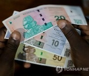 짐바브웨 새 화폐 'ZiG' 출시…구권 가치 폭락 탓