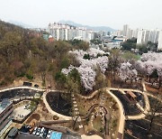 노원구 초안산 수국동산 ‘숲 속 힐링 피크닉장’ 개장