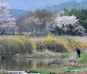 [내일 날씨] 포근한 일요일…전국, 낮 최고 25도까지 오른다