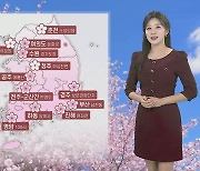 [날씨] 주말 맑고 따뜻, 곳곳 벚꽃 절정…큰 일교차 주의