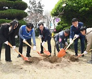 창녕군, 식목일 맞아 군청 광장에 ‘청렴나무’ 식재