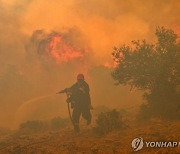 그리스 크레타섬에서 대형 산불…4개 마을 주민 대피령