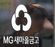 '뱅크런 이어 작업 대출' 새마을금고 또 도마 위