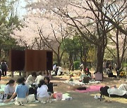 봄 정취에 흠뻑 빠진 시민들...나들이객 '북적'