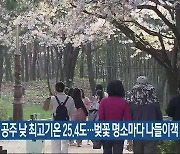 공주 낮 최고기온 25.4도…벚꽃 명소마다 나들이객 북적