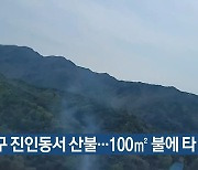 대구 진인동서 산불…100㎡ 불에 타