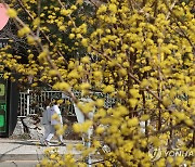 [내일날씨] 낮에 포근하지만 일교차 커…수도권 미세먼지 '나쁨'