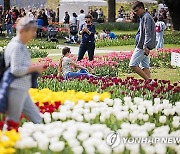 SWITZERLAND TULIP FESTIVAL