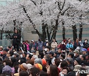 총선 전날 낮 최고 25도 초여름…동해안 하루새 10도 '뚝' [내일날씨]