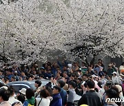 총선 전날 낮 기온 22도…동해안 쌀쌀·영호남 빗방울 [내일날씨]