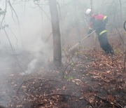 산불 위기경보 '경계' 발령...직접 산에 가보니