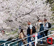 [날씨]전국 대체로 맑고 포근…중부 건조 '산불' 주의