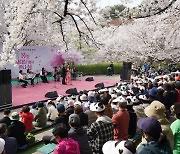 서대문 봄빛축제 41만여 명 다녀갔다