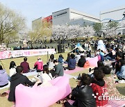 오산시, 2024 공연이 있는 날 '벚꽃 IT DAY' 성료