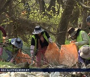 쓰레기로 몸살 앓는 청주 미호강..1천명 자원봉사자들 활약에 '청정하천' 회복