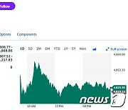 엔비디아 0.99% 하락에도 필라델피아반도체지수 0.13%↑(상보)