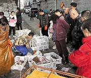 [사설] 北 노예 노동으로 만든 수산물이 우리 밥상에 오른다니