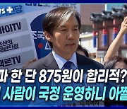 [뉴스+] 조국 "대파 한 단 875원이 합리적? 그런 사람이 국정 운영하니 아찔한 것"