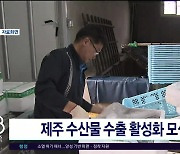 제주 수산물 수출 활성화  모색