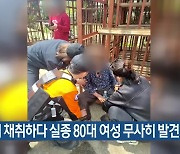 고사리 채취하다 실종 80대 여성 무사히 발견