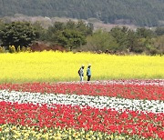 "제주 입도 외국인 日 1만명 돌파"… 中 단체관광 본격화