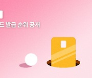 신용카드도 '봄 탄다'… 발급 신청 몰린 카드 살펴보니