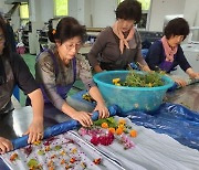 전남도, 지역 수요 맞춤 '동행 일자리사업' 본격 추진