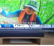 YTN, 조국혁신당 10번으로 잘못 표기…"코드 최종 확인 못해"