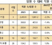 대기업 직원은 줄고 임원은 늘어…전년 대비 비율 감소 ↑