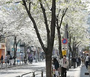 “의대 증원 확실한가요”…혼돈 속 노량진 학원가 [가봤더니]