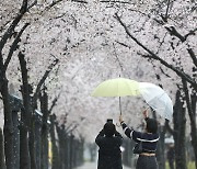 곳곳서 봄비 내린다…낮 최고 17~22도 ‘흐림’