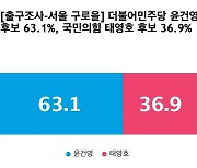 [출구조사-서울 구로을] 더불어민주당 윤건영 63.1%, 국민의힘 태영호 36.9%