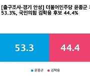 [출구조사-경기 안성] 더불어민주당 윤종군 53.3%, 국민의힘 김학용 44.4%