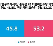 [출구조사-부산 중구영도] 국민의힘 조승환 53.2%, 더불어민주당 박영미 45.8%